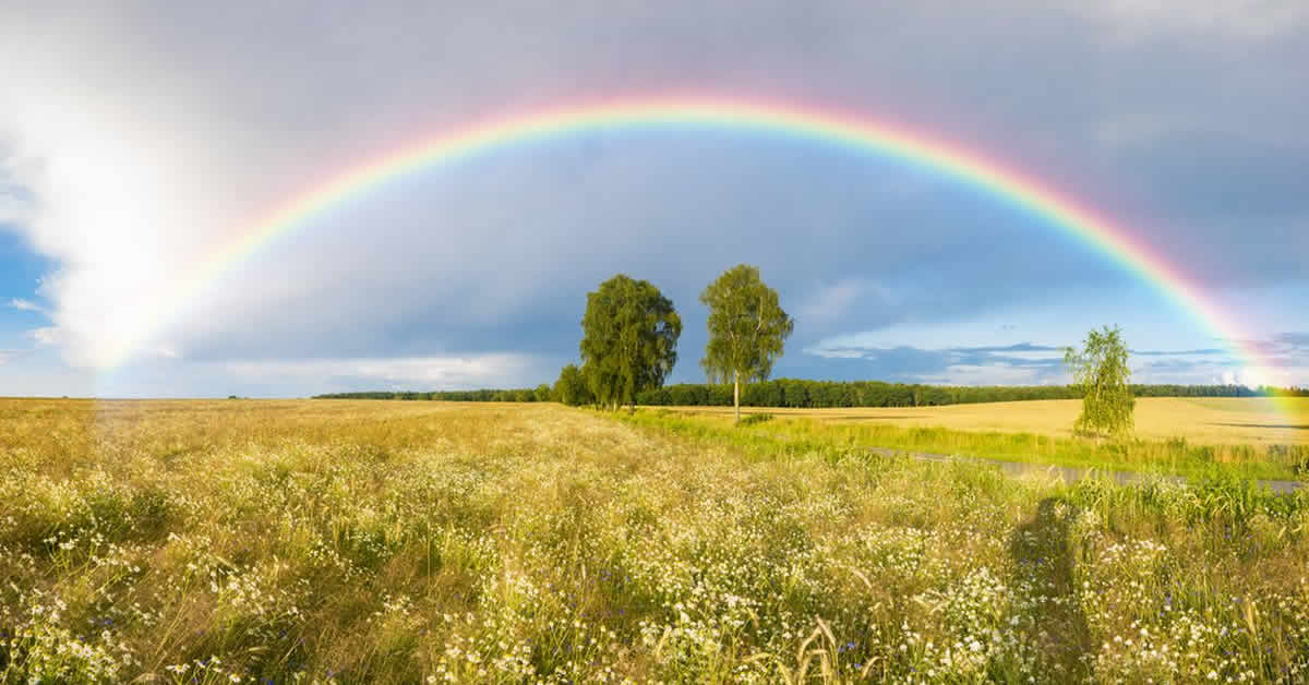 Apa yang Sebenarnya Terjadi Saat Pelangi Terbentuk? Penjelasan Sains yang Akan Mengejutkan Anda